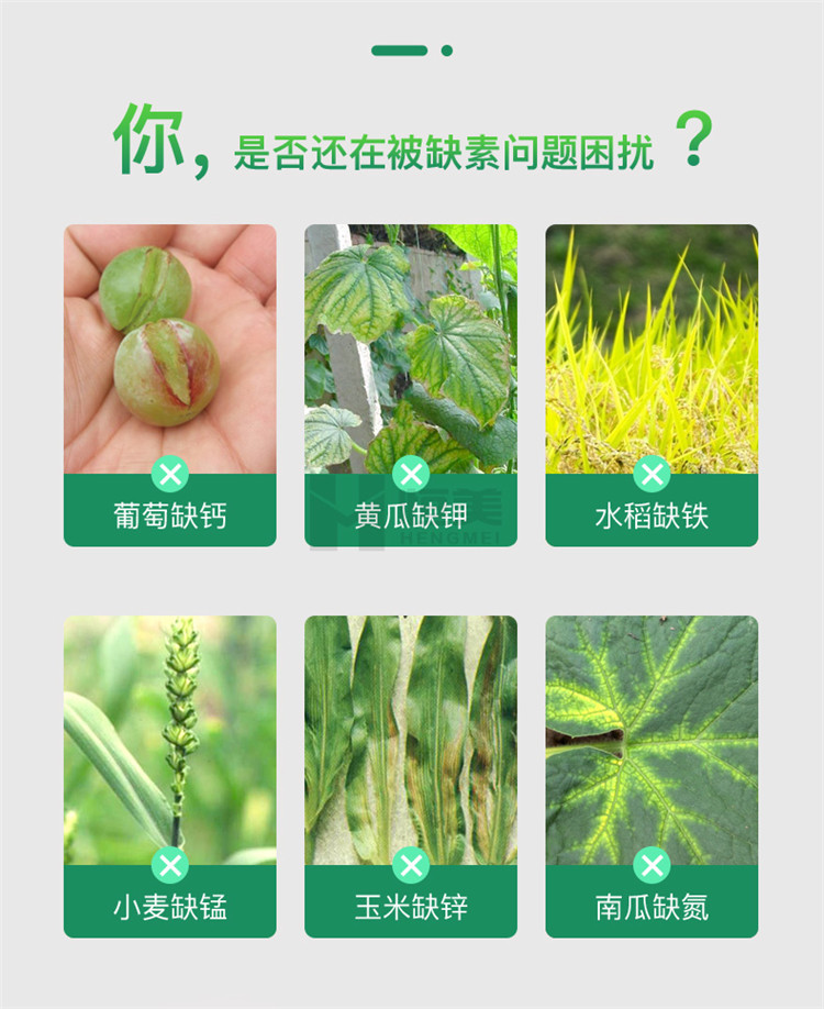 高智能土壤養分檢測儀怎么選？